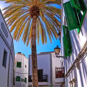 The Palm House Puerto De Mogan